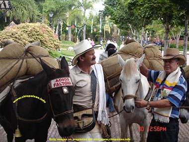 que es montaero en colombia,  fotos, imagenes,  fotografias, dibujos,  dibujos, graficos,  montaero paisa,  ontaero antioqueo, montaero colombiano,  es un montaero en  Medellin, Antioquia, Colombia,
como son los montaeros en Colombia