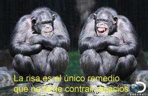 el empujn, enseanzas, moralejas, moraleja picante, moraleja chiste, dichos de moralejas,  fotos, imagen, imagenes, fotografas, vistas, pinturas, dibujos,  graficos