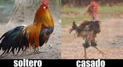 a la vanidad humana, poema sucio, poesia atrevida,  poemas sucios, , poemas atrevidos, poemas obscenos, graciosos, divertidos,  poemas sexuales graciosos, fotos, imagen, imagenes, fotografas,  pinturas, dibujos, graficos