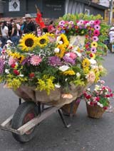  fotos, imagenes,  fotografias, dibujos,   dibujos, graficos, pinturas,  frases sobre medellin, frases para Medellin, piropos a Medellin, mensajes a Medellin, Antioquia, Colombia 