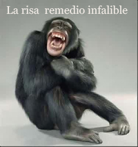    poemas obscenos,  al ladron de mimaleta, ladron, maleta, poemas atrevidos, poemas obscenos, poemas sexuales graciosos, graciosos, divertidos,  fotos, imagen, imagenes, fotografas,  pinturas, dibujos, graficos