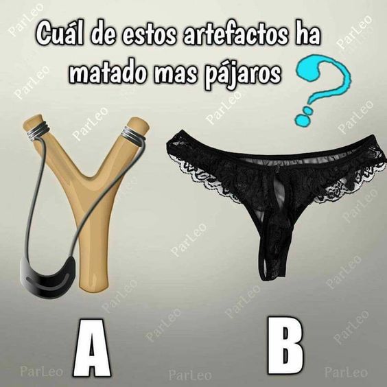  Humor grafico, doble sentido,  gracioso, tangas, mujers, fotos, imagenes, chistes graficos, tumba,  pajaros, divinanzas graficas, mata, pajaros, caucheras,  resorteras, hondas, lanza piedras, matapajaro
 dibujos, pinturas,  humor grafico para adultos, chispaisas, antioqueños, colombianos