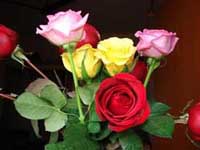  fotos, imagenes,  fotografias, dibujos,  fotografias, dibujos, graficos, piropos para mama, piropos para la madre, halagos para mama, piropos a mam