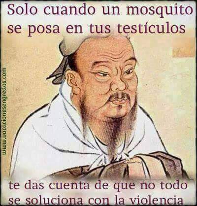 Dichos paisas, dichos paisas montaeros, dichos de antioqueidad,  dichos antioqueos,, fotos, imagen, imagenes, fotografas, refranes paisas, vistas, pinturas, dibujos,  graficos, 
 exageraciones paisas, , no hay macho que no repare ni mula que no patee, dichos paisas montaeros de Colombia