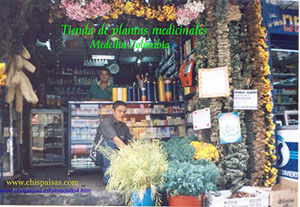 Tiendas exotericas en Medelln,  yerbas medicinales, Productos vegetarianos,  Pcimas de amor,,  como es medelln, por dentro, trabajadores informales, fotos, fotografias, imagen,  imagenes,
 dibujos, vistas,  prestamistas, parque Berro,  gaminnes, comercio informal